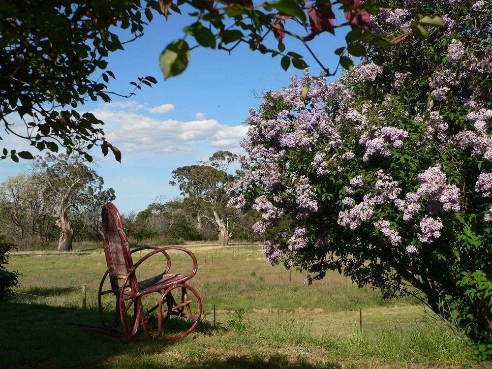 Redcliffe House Colonial Bed & Breakfast Swansea Extérieur photo